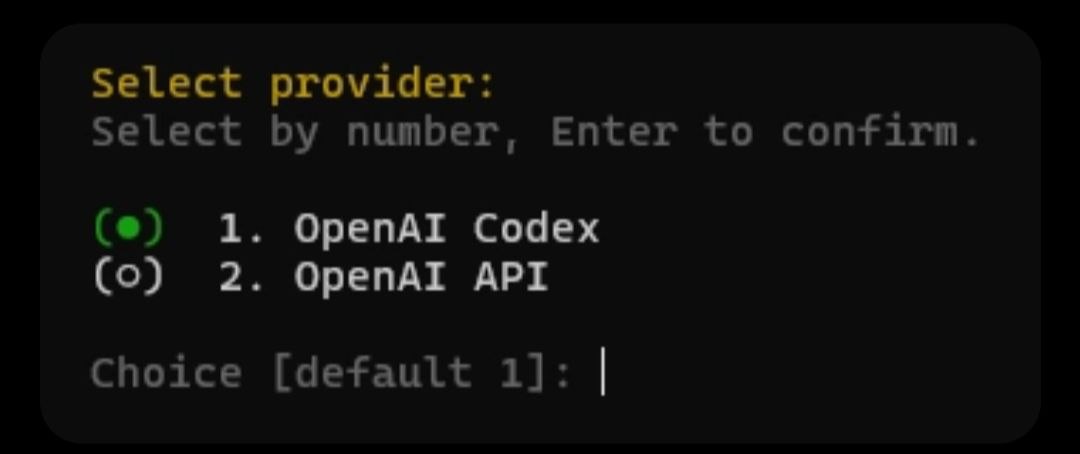 OpenAI Codex provider